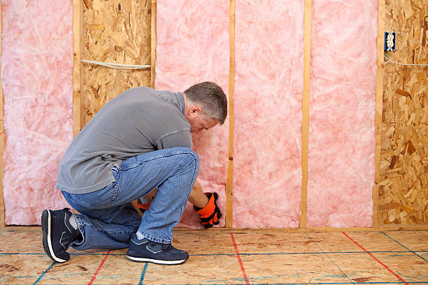 Insulation Replacement Services in Wilton, IA